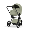 Коляска 2 в 1 Priam 5 Style Collection цвет Sage Green шасси Matt Black