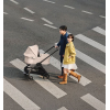 Коляска 2 в 1 Bugaboo Dragonfly Plus 2026 цвет Desert Taupe