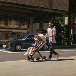 Прогулочная коляска Nuna TRVL LX BMW Collection цвет Mica