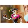 Конструктор LEGO Ideas #21372 Катрина