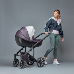Коляска Anex m/type Discovery 3 в 1