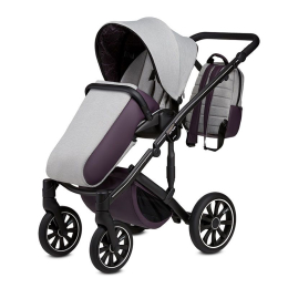 Коляска Anex m/type Discovery 3 в 1