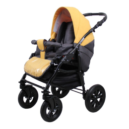 Коляска Alis Berta 20 3 в 1
