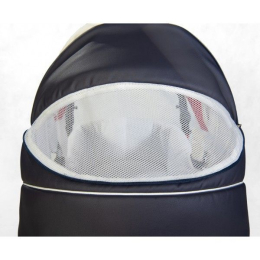 Коляска Esperanza Classic Crown 2 в 1 