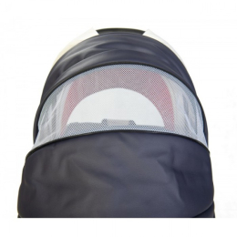 Коляска RAY Korona Classic 2 в 1
