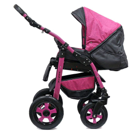 Коляска BartPlast Fenix Len 2 в 1