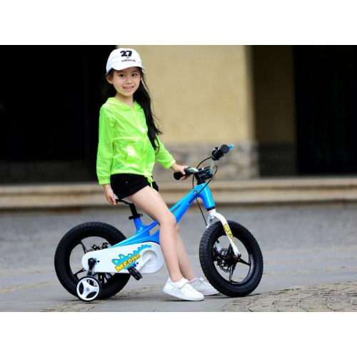 Детский велосипед Royal Baby MG Dino 14  