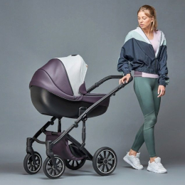 Коляска Anex m/type Discovery 3 в 1