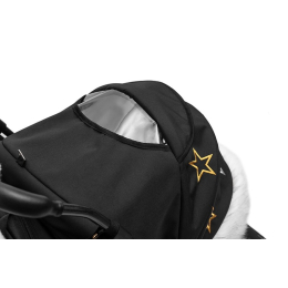 Санки-коляски Pikate Limited Edition 