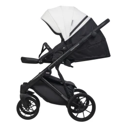 Коляска 2 в 1 Riko Basic Montana Ecco 32 White-Light Silver (белый-св.серый)