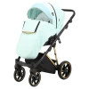 Коляска Bebe-mobile Lucia Special Edition 2 в 1